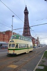 trams 