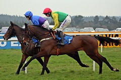 Horse Racing - Super Sunday, Exeter, Devon Feb 2017