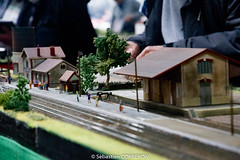 Salon du train miniature (4)