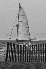 black and white sailboat Santa Monica 042117 Photos by Morgan Genser (C)2017