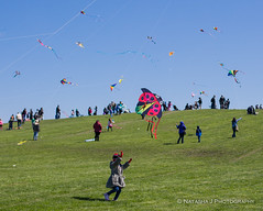Chicago Kids and Kites Festival  2017 at Montrose Beach
