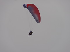 Paragliders 2017
