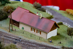 Salon du train miniature (3)