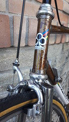 #colnagomexico #steelvintagebikes #rust #campagnolo #superecord  colnago Messico 1981 rust effect with campagnolo super nuovo record