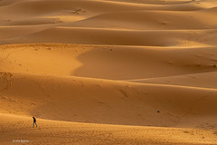 Solitude and serenity in the Sahara - Morocco