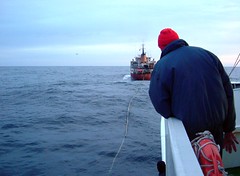 Bunkering (refuellling) a trawler at sea in the North Atlantic