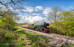 Flying Scotsman at the Bluebell