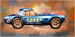 Shelby Cobra Museum