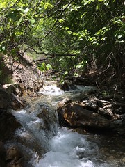 June 28, 2017 a (Grove Creek Canyon)