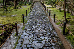 Kyoto pathway