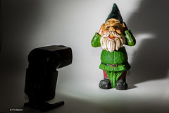 Torturing gnomes with a remotely triggered  Speedlite 430EX