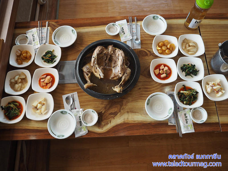 ไก่ตุ๋นเกาหลี เป็กซุก ไก่ตุ๋นหม้อใหญ่ ไม่ใส่โสม เกาหลีใต้ เมืองคังฮวา