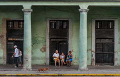 A daschund with a plan - Havana, Cuba