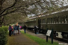 Mother's Day Train Ride