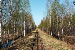 Railway Landscape