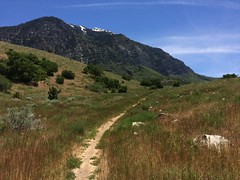 June 15, 2017 b (Provo Canyon/Timp Foothills)
