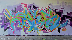 Den Haag Graffiti FRIS