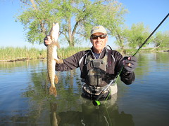 RMANWR Pike Fishing 5/30/17
