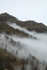 Alborz Mountains