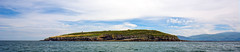 Puffin Island Anglesey