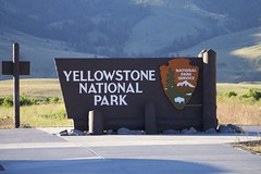Yellowstone National Park 2017