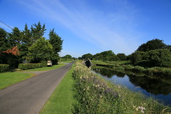 The Royal Canal Way