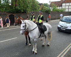 TVP MOUNTED SECTON