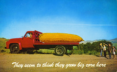 It's true -- they do grow big corn in Iowa