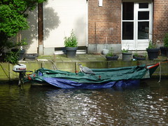 Amsterdam Boote