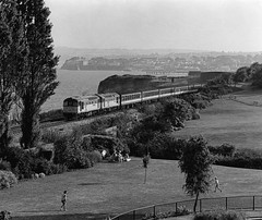 Trains in Devon