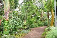 Botanischer Garten Jena 2017