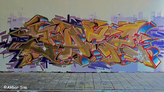 Den Haag Graffiti ZACE