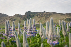 Islande - 2016