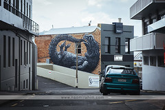 ROA mural - Dunedin, New Zealand