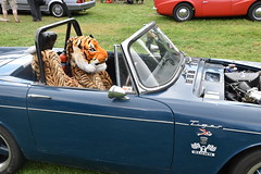 purley classic car show