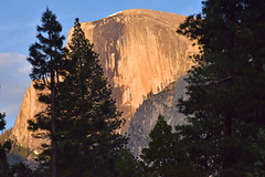 Yosemite National Park - Part III