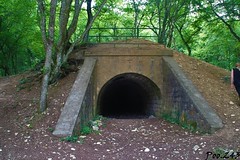 La batterie du tunnel de Tavannes