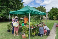 Friends of Old Headington Open Gardens 2017