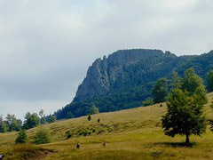 munții gutâi-drumeție și popas/gutai mountains