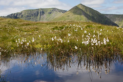 Lake District National Park & Yorkshire Dales