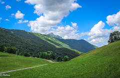 Col du Frêne - été 2017 (Savoie)