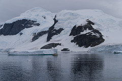 Antarctica: Petermann, Lemaire, Cuverville