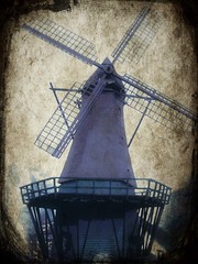 Windmill Study