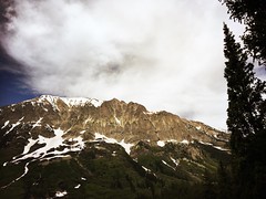 another research trip to Colorado! june-july 2017