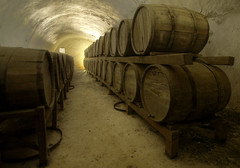 The Wine Tunelet