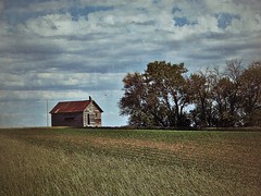 The Prairie Landscape