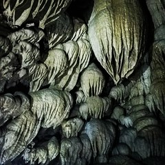 Valley of the Rogue S.P./Oregon Caves National Monument (OR) - May 20-21, 2017