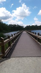 Pickerel Lake Park