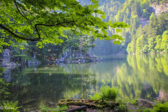 Bivouac au Lac d'Altenweiher (Vosges)