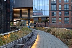 New York 2016 - The High Line